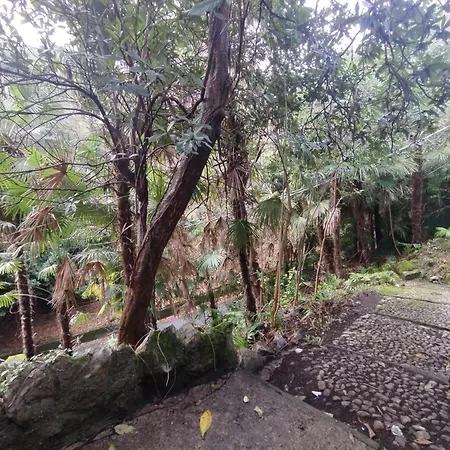The Garden House *